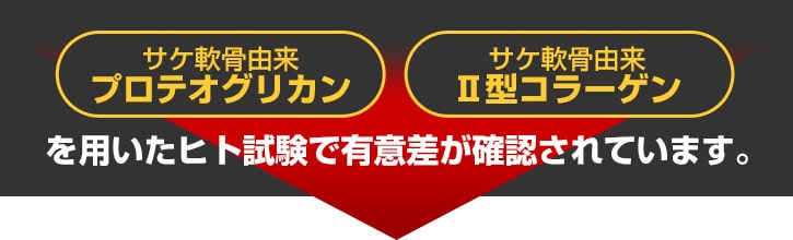 驚くべきパワーを解説